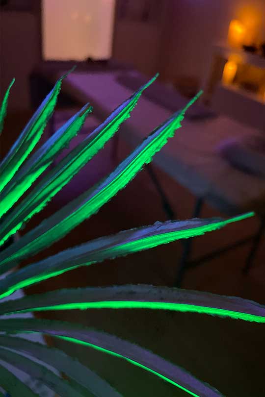 intuition studio 016